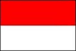 Indonesia New DVB-T2 Receiver